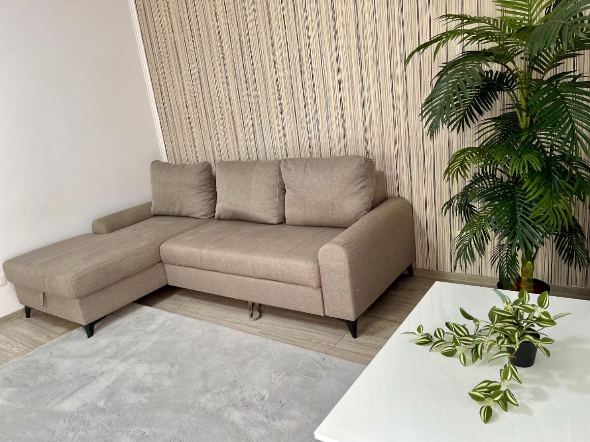 Cosy Place To Stay Timisoara Luaran gambar